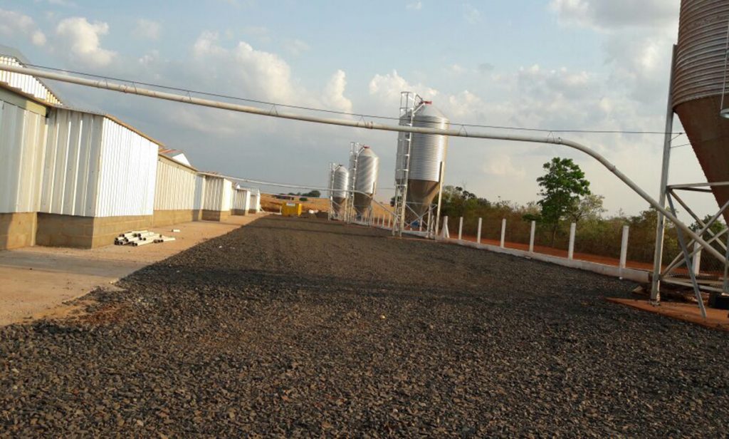 Galpão agropecuário – 20.000 m2 Uberaba-MG